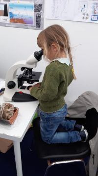 12_le rocce al microscopio.jpg
